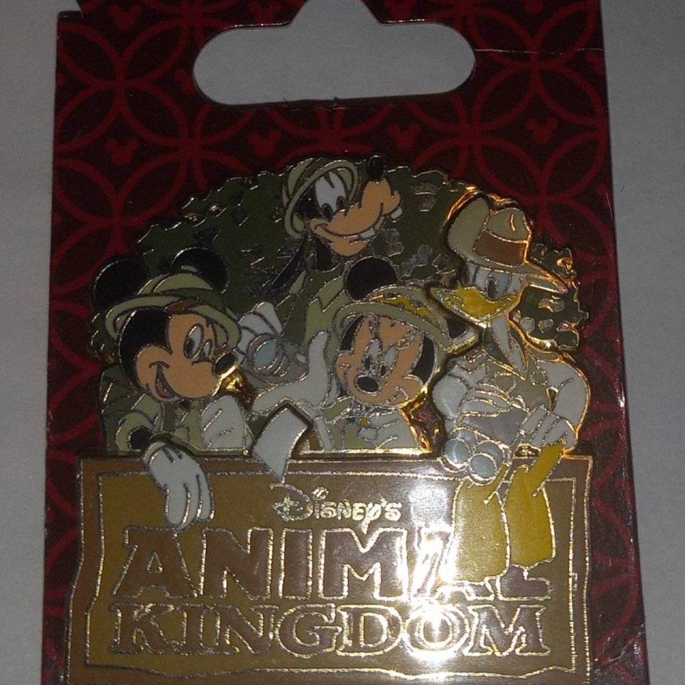 Disney pin